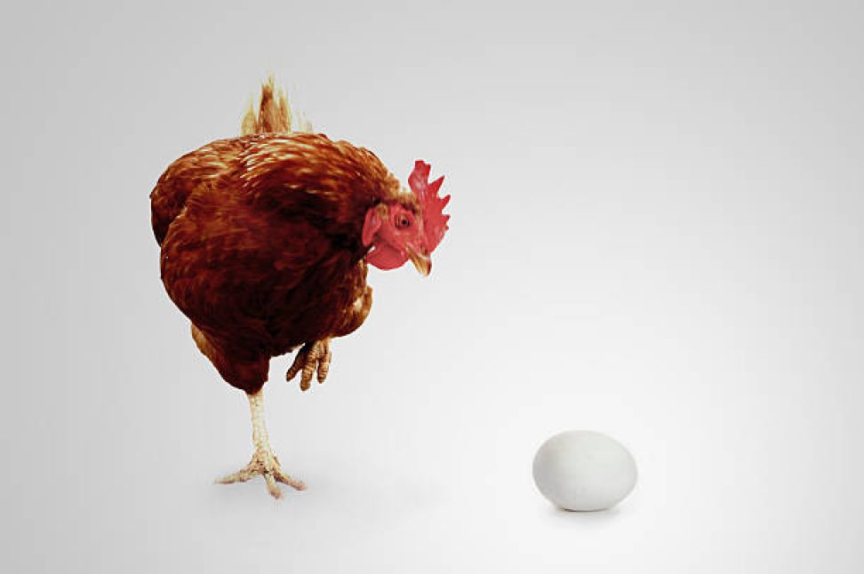 Cock and the Egg